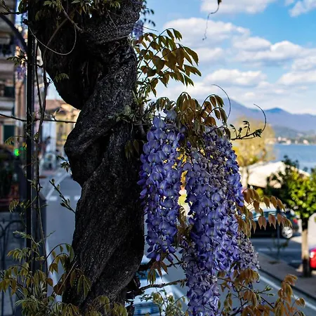 La Dimora Del Glicine Appartamento Belgirate